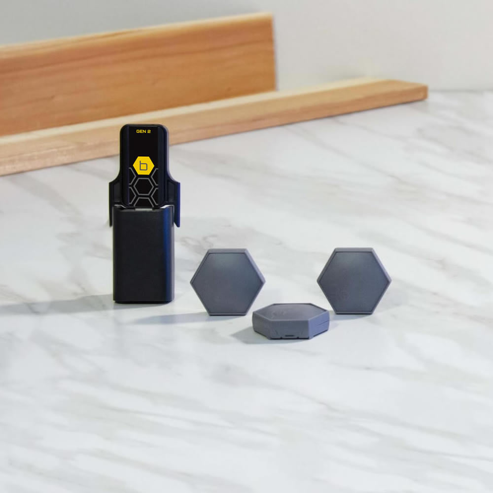 B-hyve Smart Flood Sensor