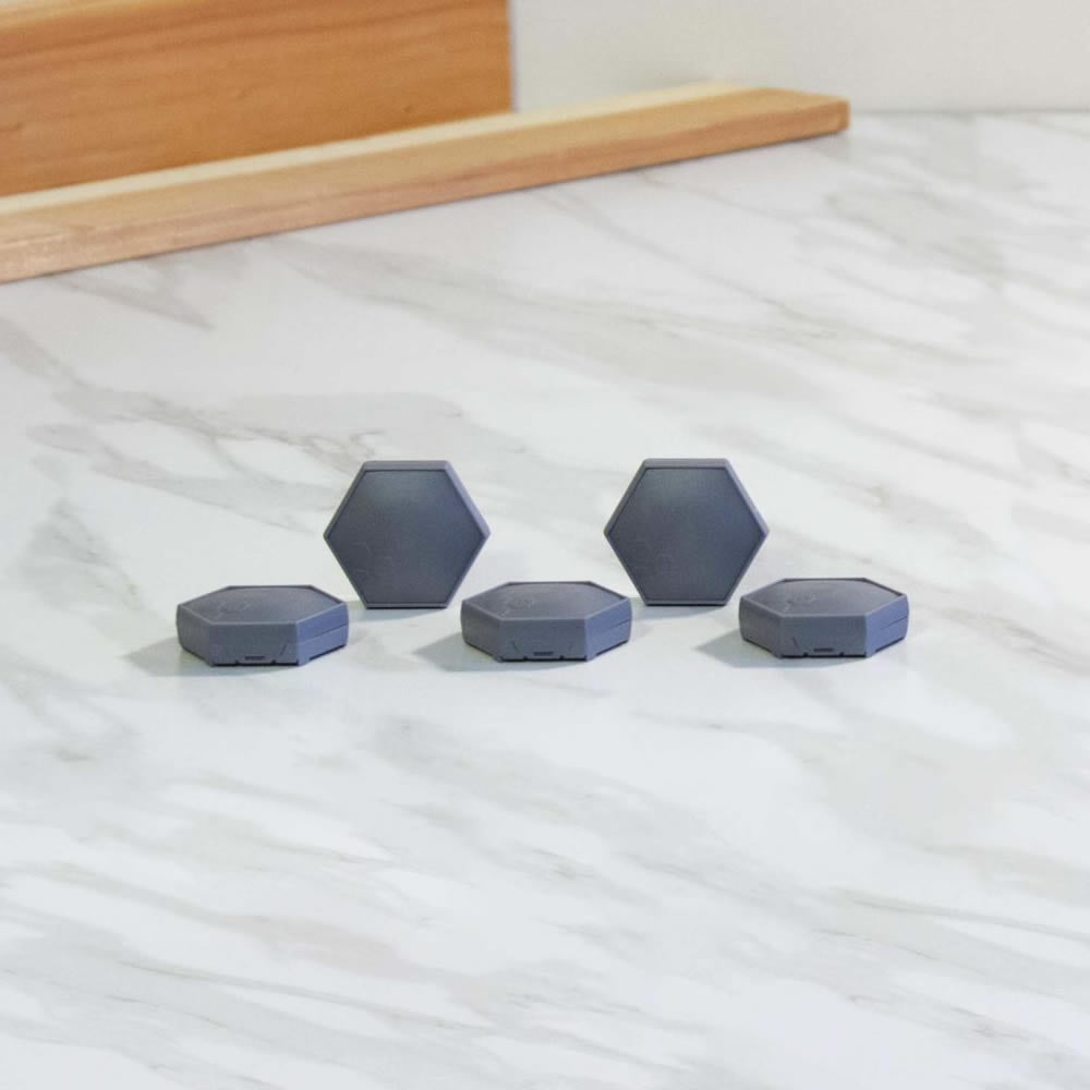 B-hyve Smart Flood Sensor