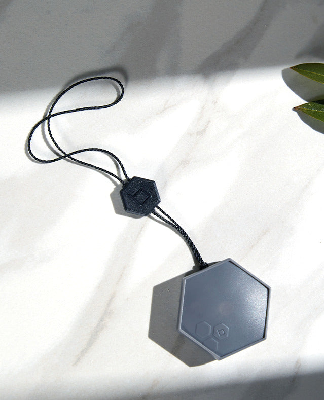 B-hyve Smart Flood Sensor